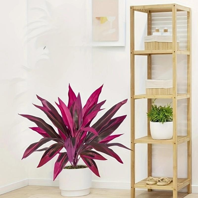 60cm Tall Artificial Dracaena  - đánh giá và giá Dracaena Marginata
