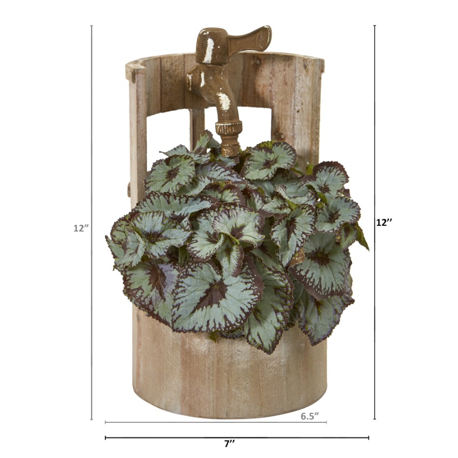 12in. Rex Begonia Artificial P - đánh giá và giá Begonia Rex