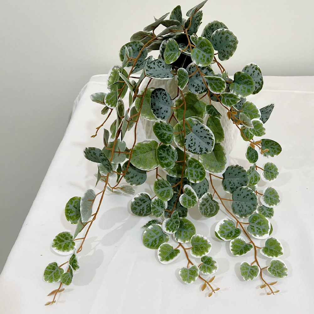49cm Artificial Plants Vines F - đánh giá và giá Pilea Peperomioides