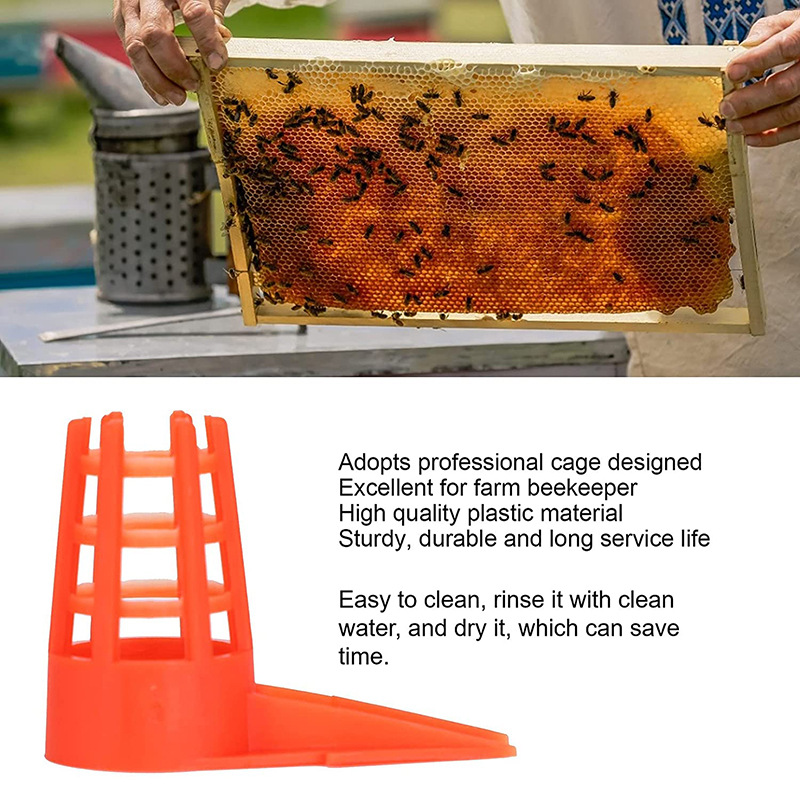 20 PcsKing Cells Plastic Bee Q - đánh giá và giá Begonia Rex