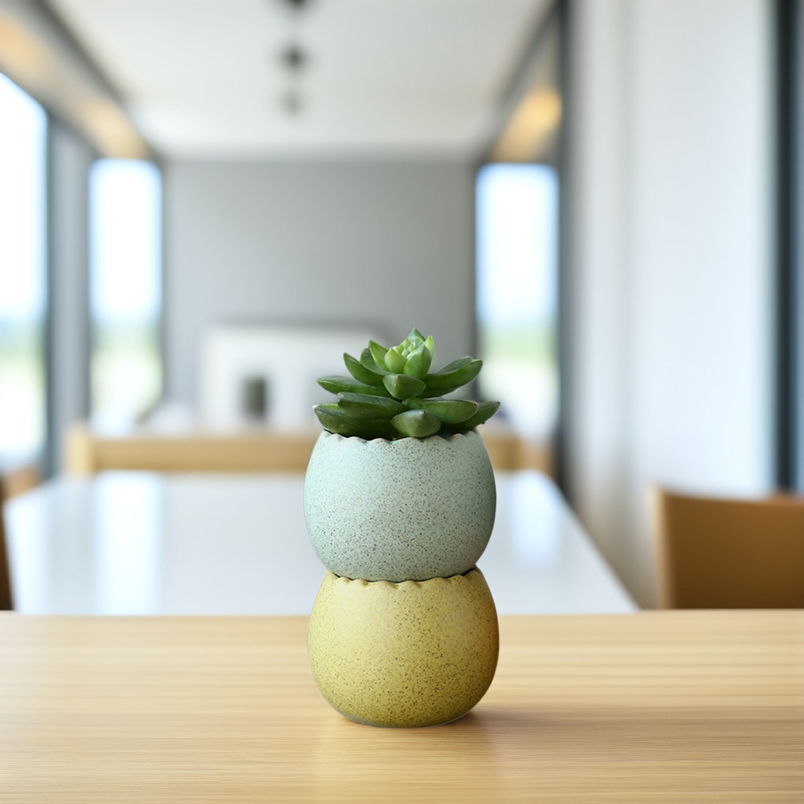 6Pcs Stylish Ceramic Mini Pots - đánh giá và giá Aloe Vera Pot