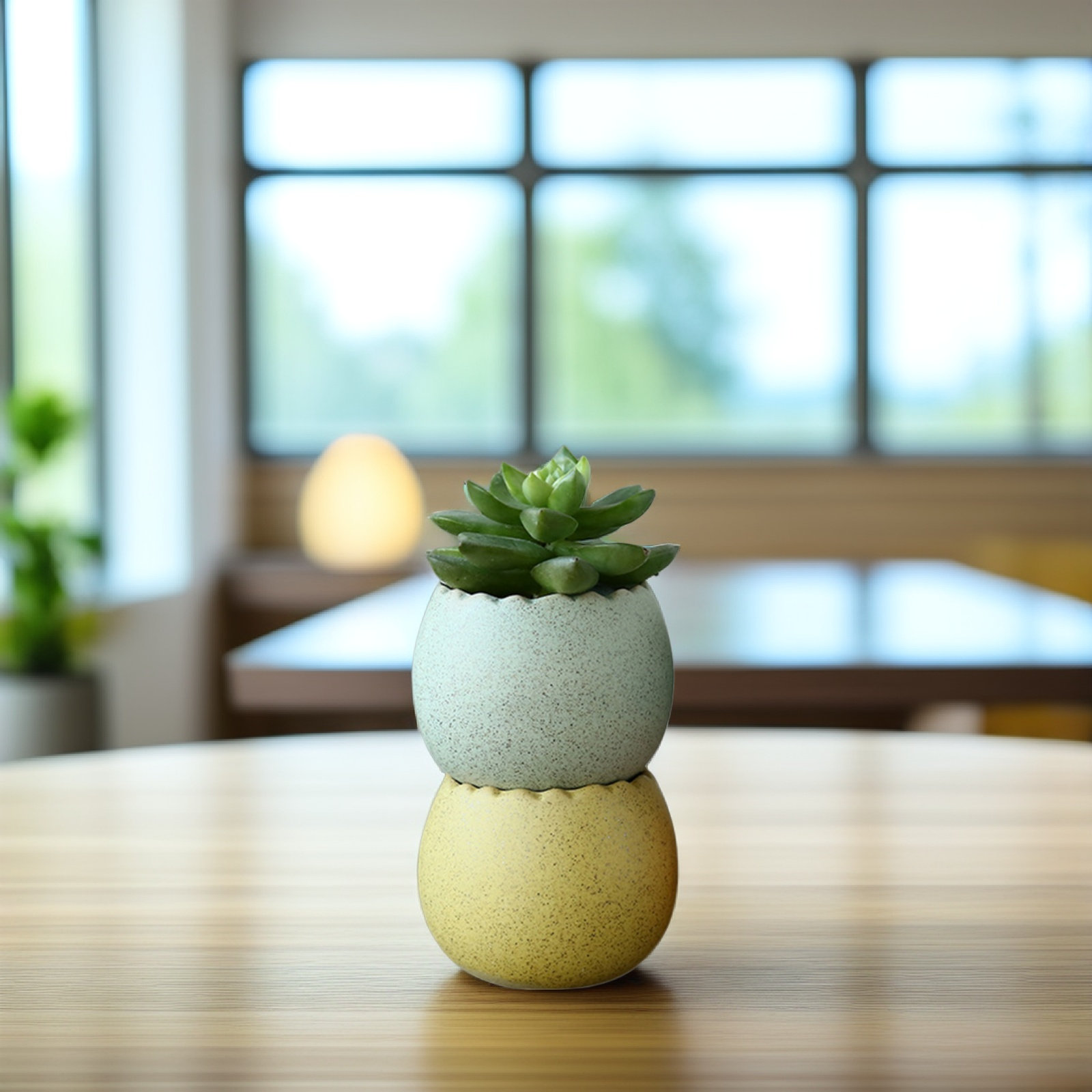 6Pcs Stylish Ceramic Mini Pots - đánh giá và giá Aloe Vera Pot