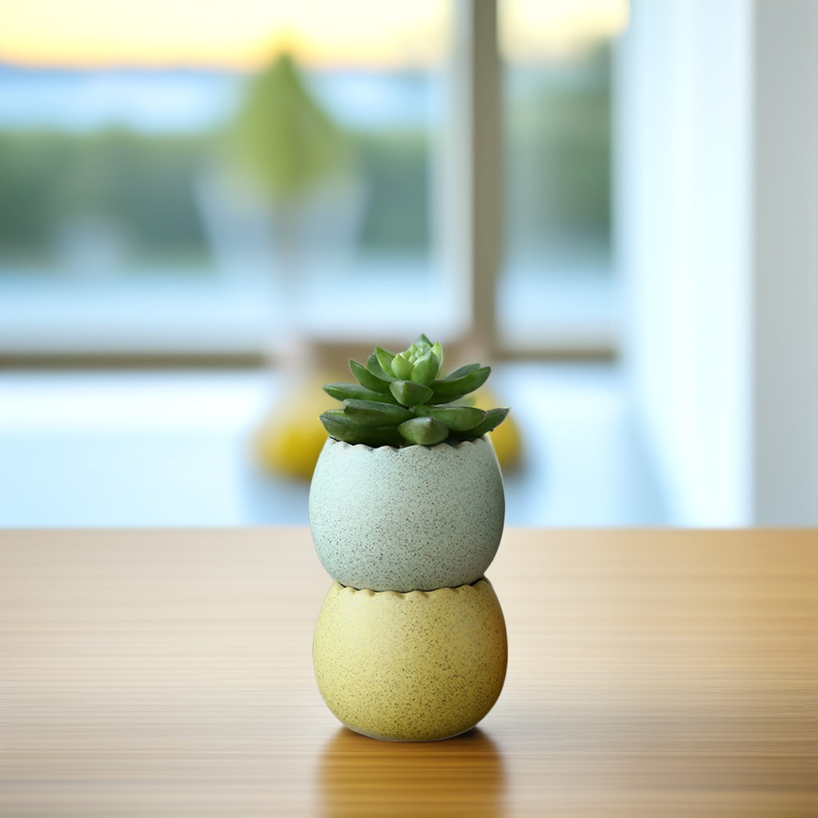 6Pcs Stylish Ceramic Mini Pots - đánh giá và giá Aloe Vera Pot