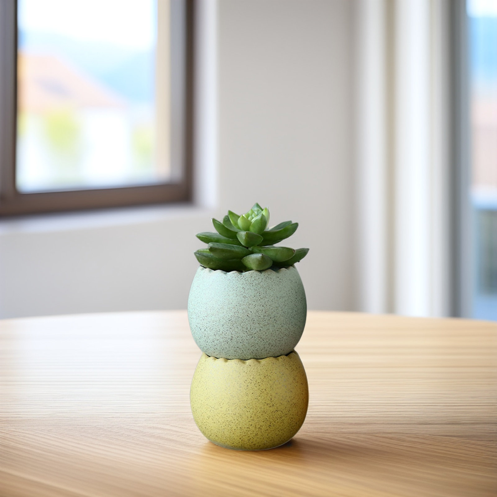 6Pcs Stylish Ceramic Mini Pots - đánh giá và giá Aloe Vera Pot