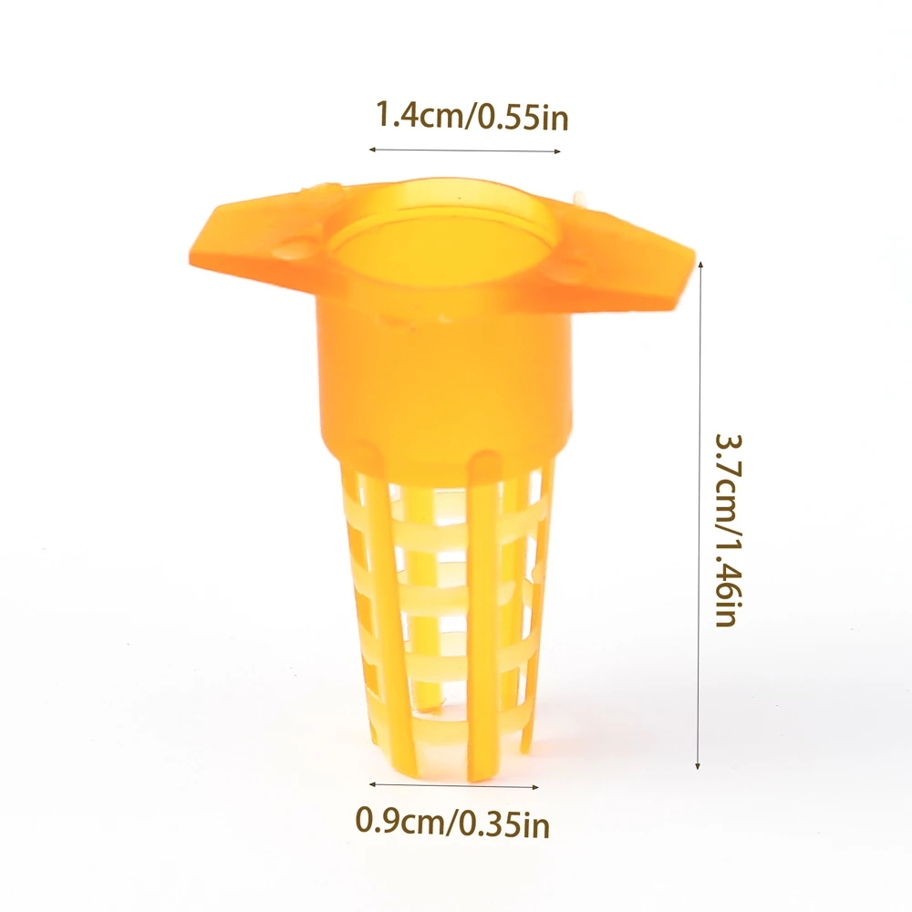 50 Pcs King Cells Plastic Bee  - đánh giá và giá Begonia Rex