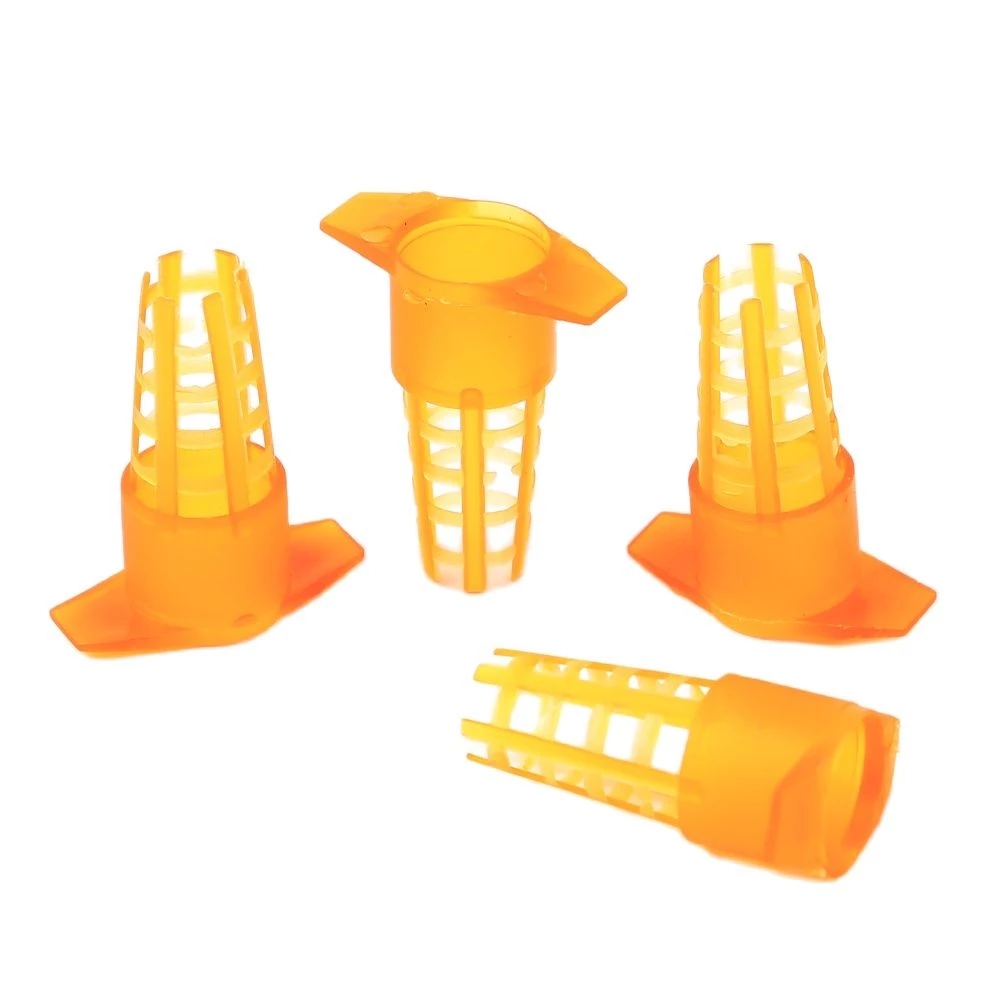 50 Pcs King Cells Plastic Bee  - đánh giá và giá Begonia Rex