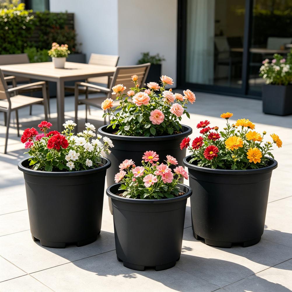 Indoor Plant Pot Black Plastic - đánh giá và giá Aloe Vera Pot