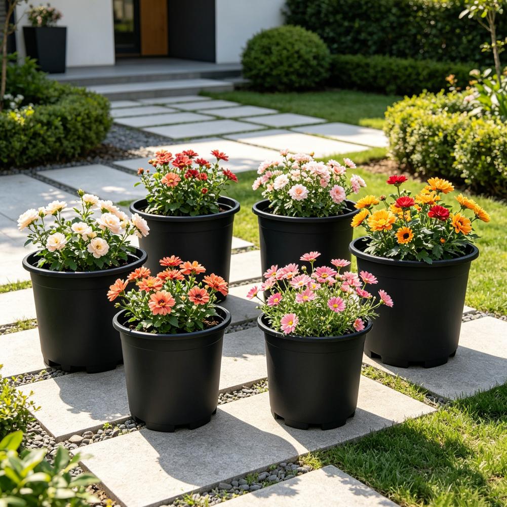 Indoor Plant Pot Black Plastic - đánh giá và giá Aloe Vera Pot