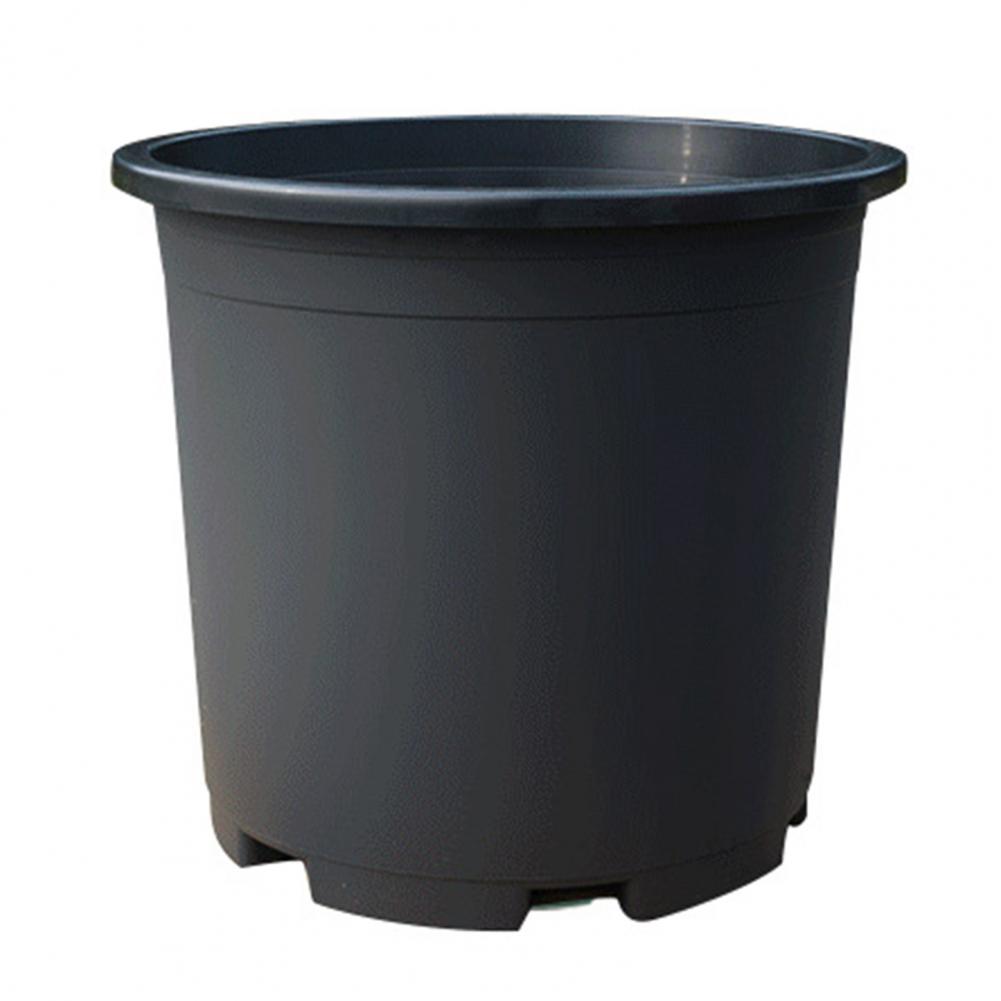Indoor Plant Pot Black Plastic - đánh giá và giá Aloe Vera Pot