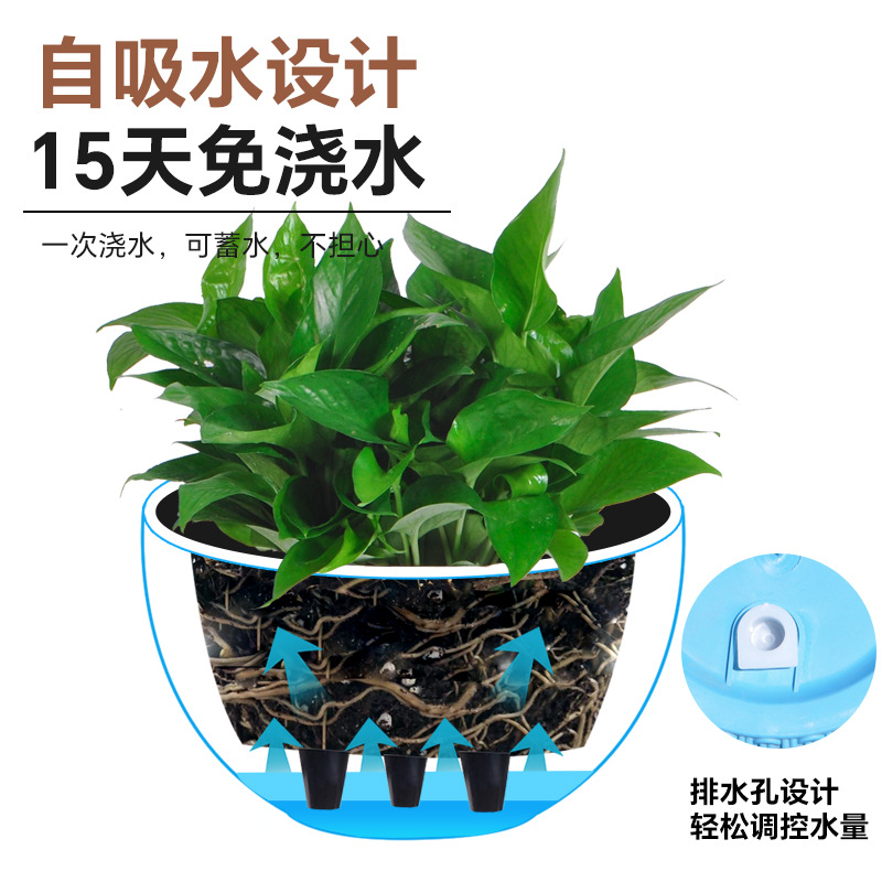New simple imitation rattan wo - đánh giá và giá Spider Plant Hanging