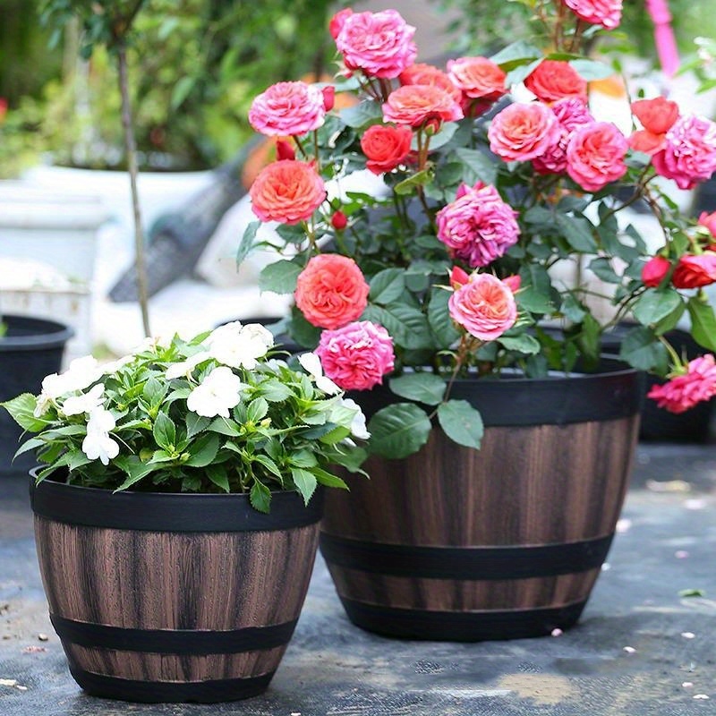 Durable Plastic Round Elegant  - đánh giá và giá Aloe Vera Pot