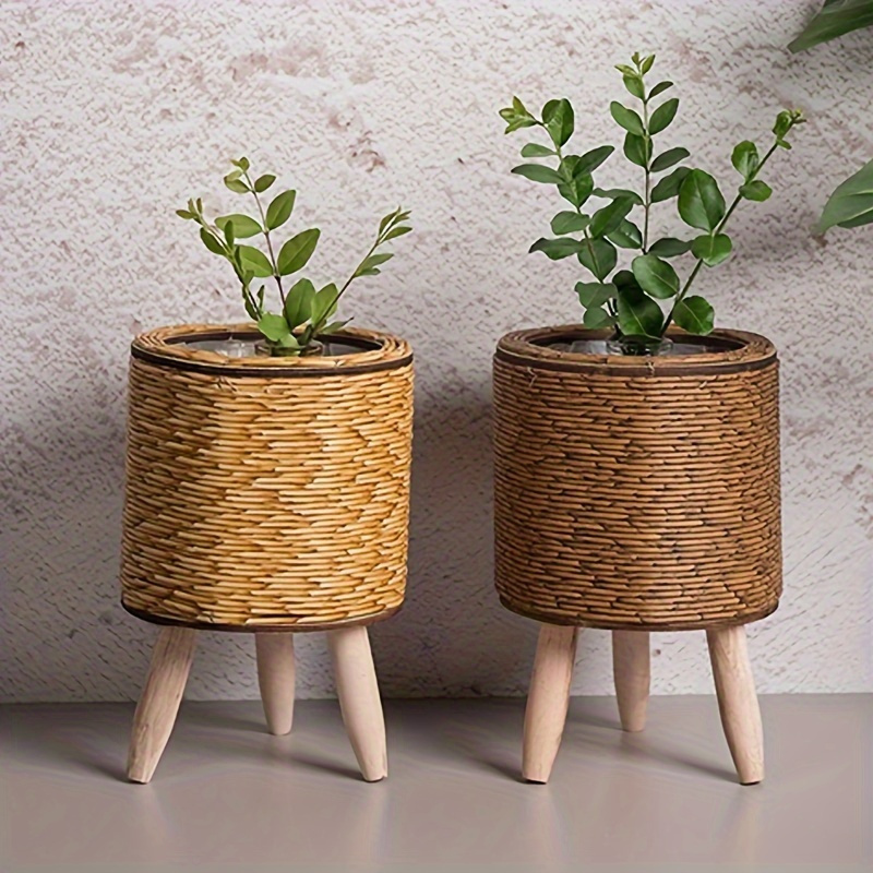 Charming Rustic Rattan Planter - đánh giá và giá Pilea Peperomioides