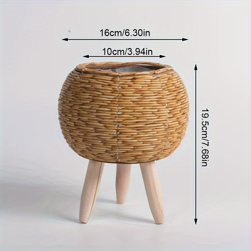 Charming Rustic Rattan Planter - đánh giá và giá Pilea Peperomioides