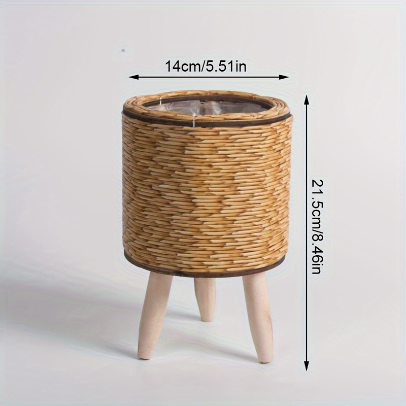 Charming Rustic Rattan Planter - đánh giá và giá Pilea Peperomioides