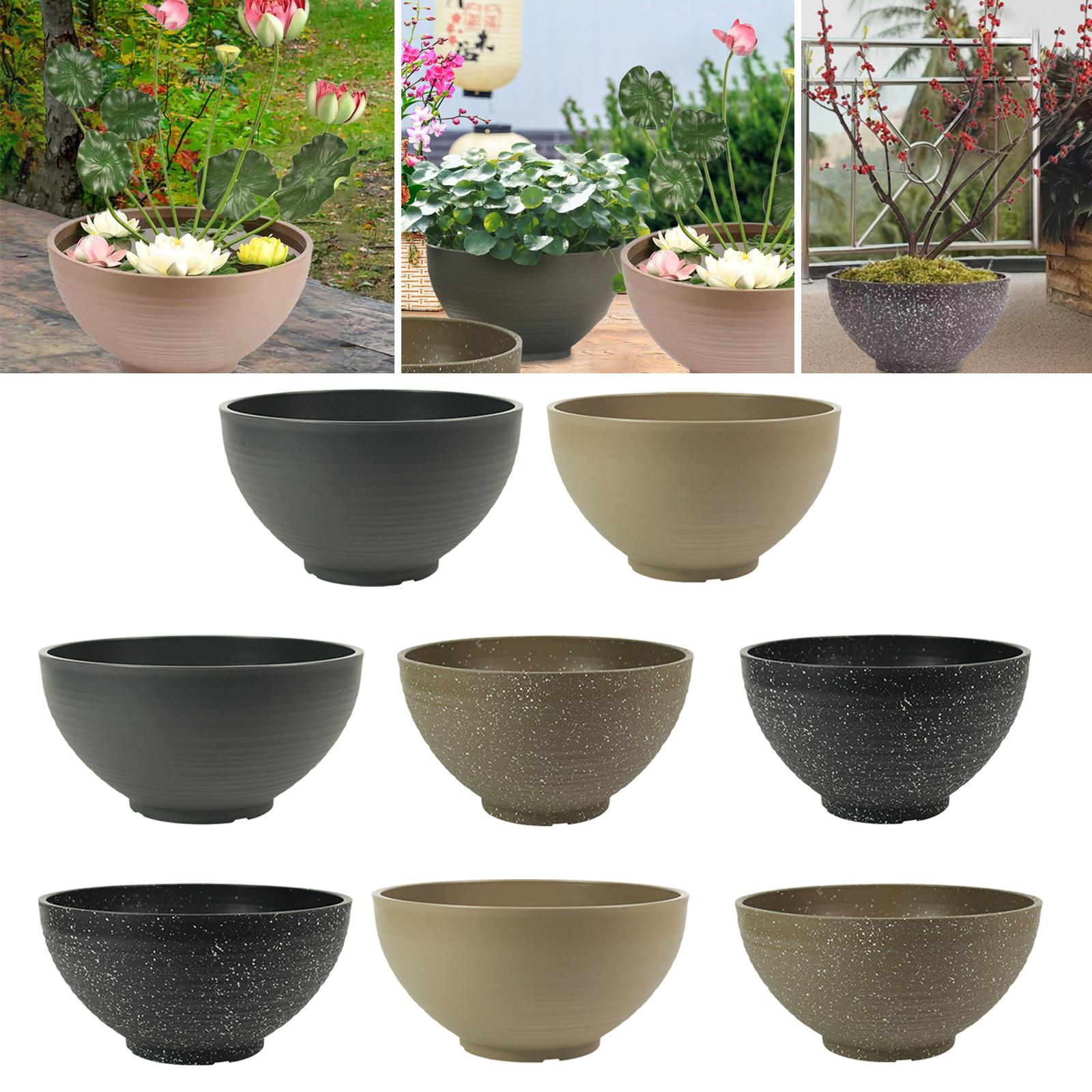 Garden Large-capacity Bowl Pla - đánh giá và giá Aloe Vera Pot