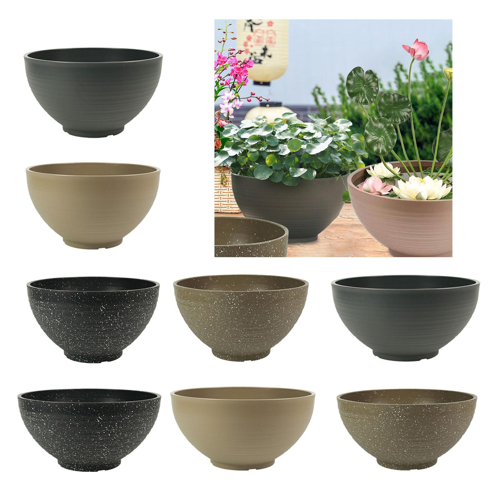 Garden Large-capacity Bowl Pla - đánh giá và giá Aloe Vera Pot