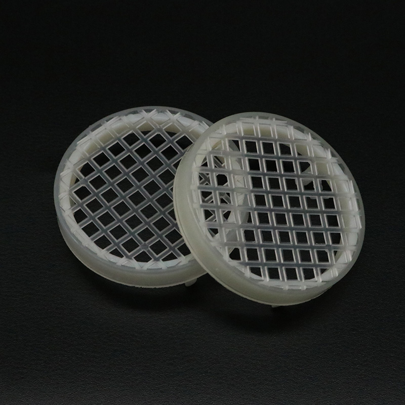 5PCS Bee Farm Round Queen Rear - đánh giá và giá Begonia Rex