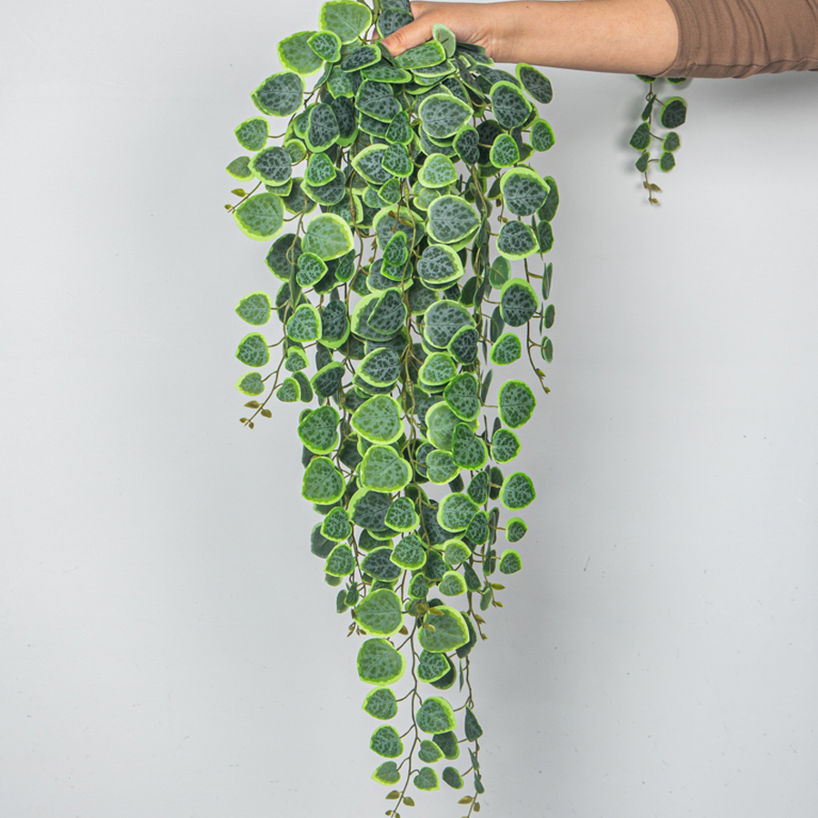 60-80cm Artificial Hanging Vin - đánh giá và giá Pilea Peperomioides