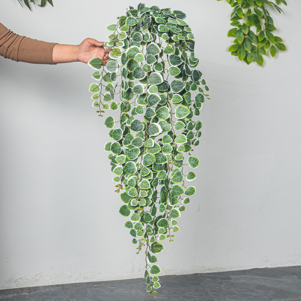 60-80cm Artificial Hanging Vin - đánh giá và giá Pilea Peperomioides