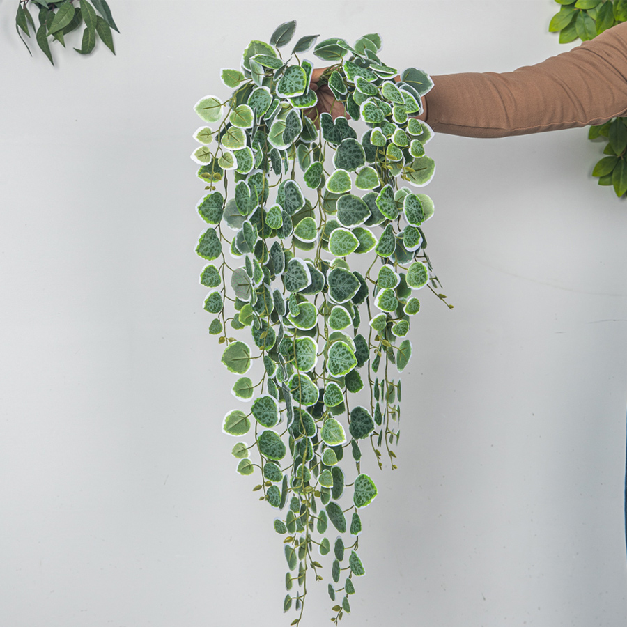 60-80cm Artificial Hanging Vin - đánh giá và giá Pilea Peperomioides