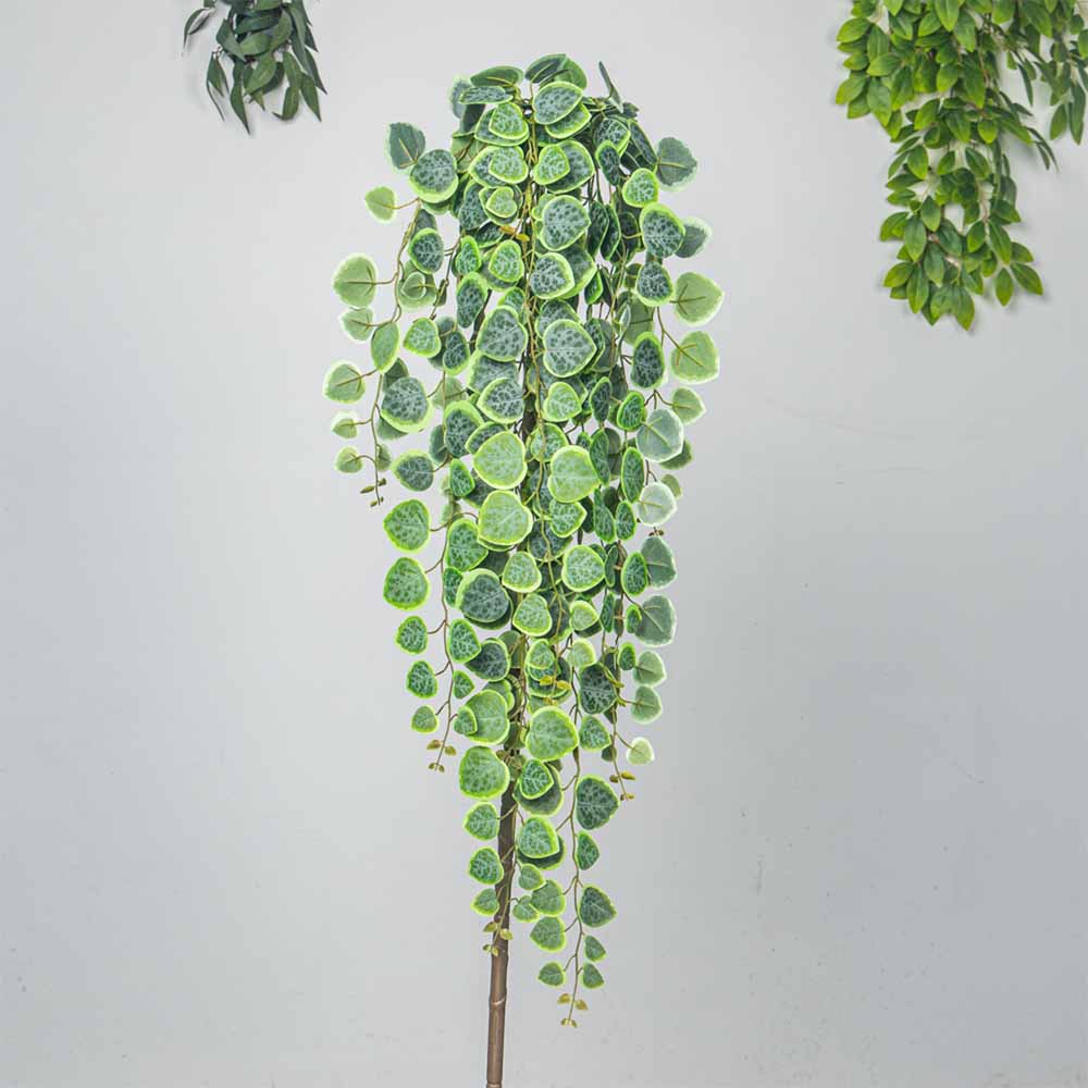 60-80cm Artificial Hanging Vin - đánh giá và giá Pilea Peperomioides