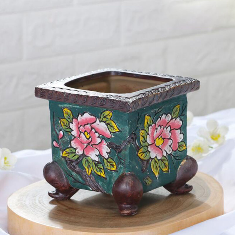 Korean Style Handpainted Flora - đánh giá và giá Pilea Peperomioides