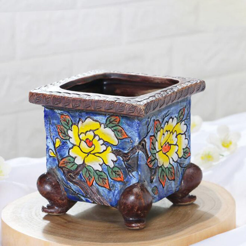 Korean Style Handpainted Flora - đánh giá và giá Pilea Peperomioides