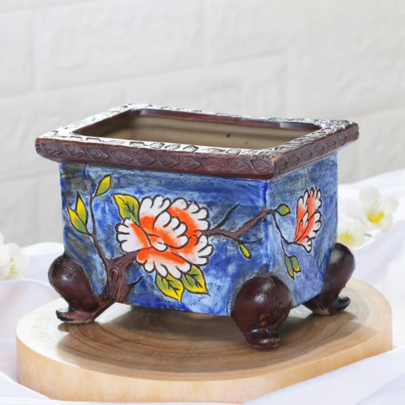 Korean Style Handpainted Flora - đánh giá và giá Pilea Peperomioides