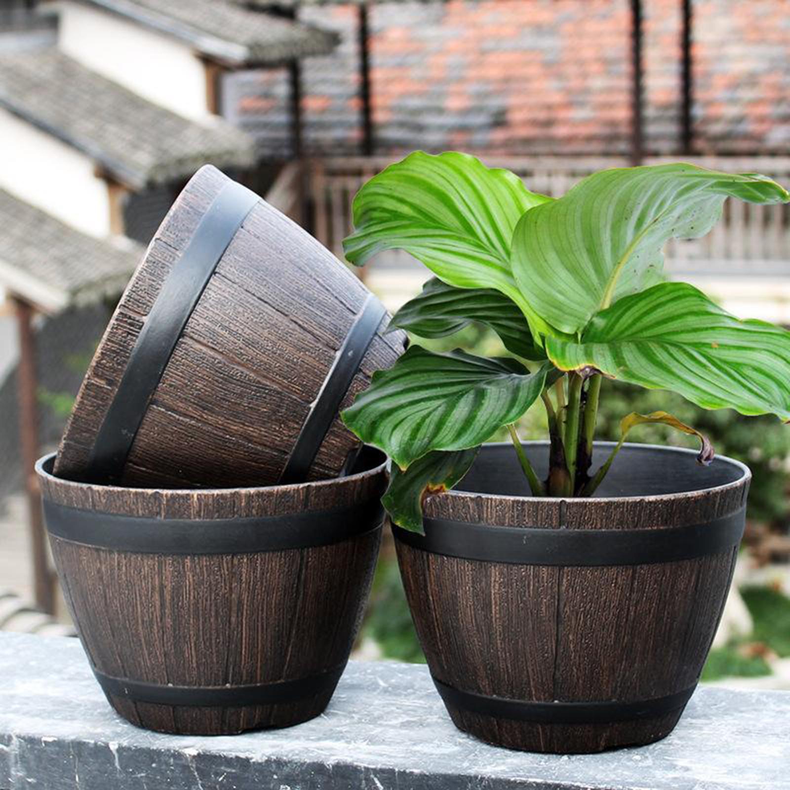 Barrel Planter Pot Large - Res - đánh giá và giá Aloe Vera Pot