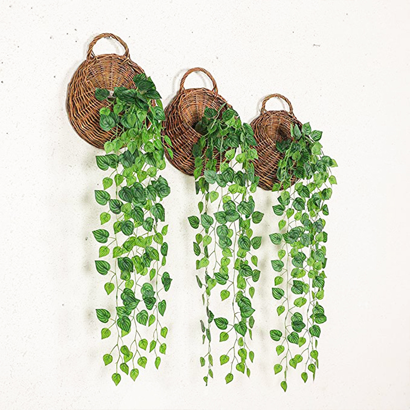 Artificial Basket Rattan Hangi - đánh giá và giá Pilea Peperomioides