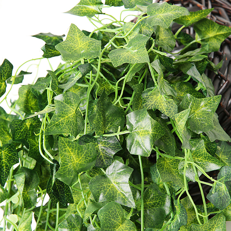 Artificial Basket Rattan Hangi - đánh giá và giá Pilea Peperomioides