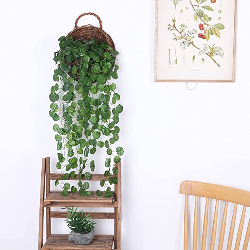 Artificial Basket Rattan Hangi - đánh giá và giá Pilea Peperomioides