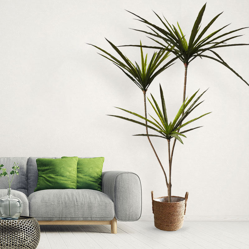 New 90-120cm Artificial Dracae - đánh giá và giá Dracaena Marginata