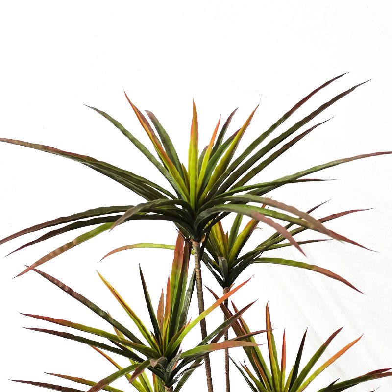 New 90-120cm Artificial Dracae - đánh giá và giá Dracaena Marginata
