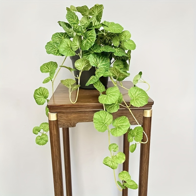 An artificial hanging vine pla - đánh giá và giá Pilea Peperomioides