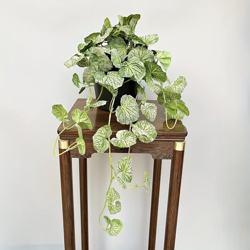 An artificial hanging vine pla - đánh giá và giá Pilea Peperomioides