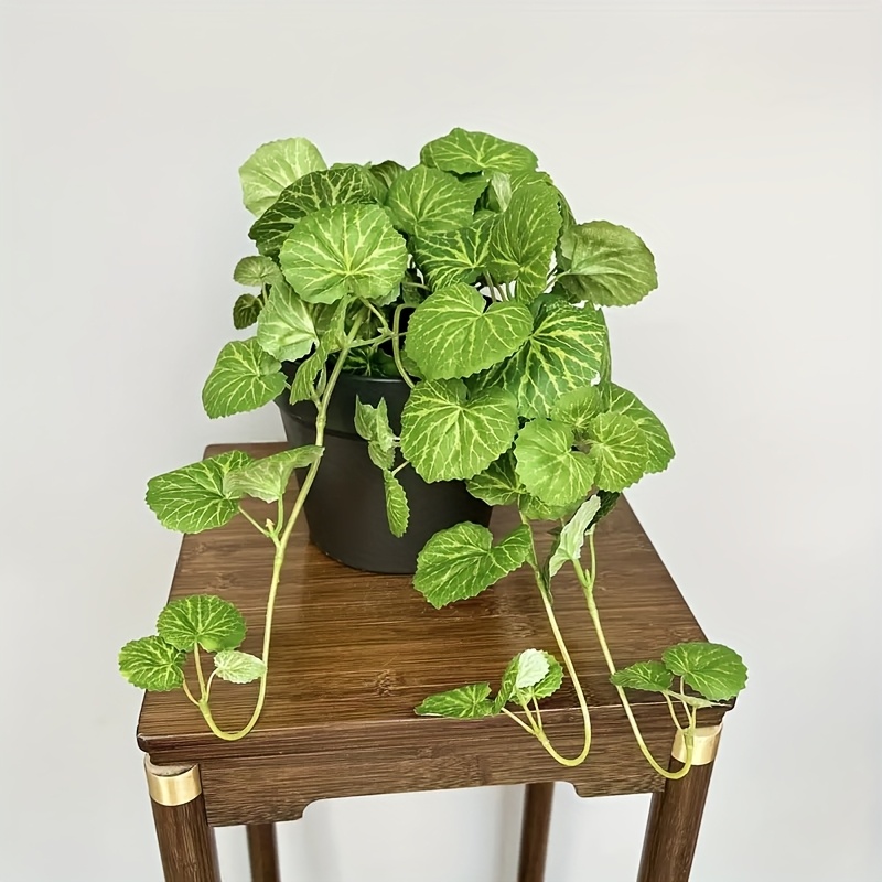 An artificial hanging vine pla - đánh giá và giá Pilea Peperomioides