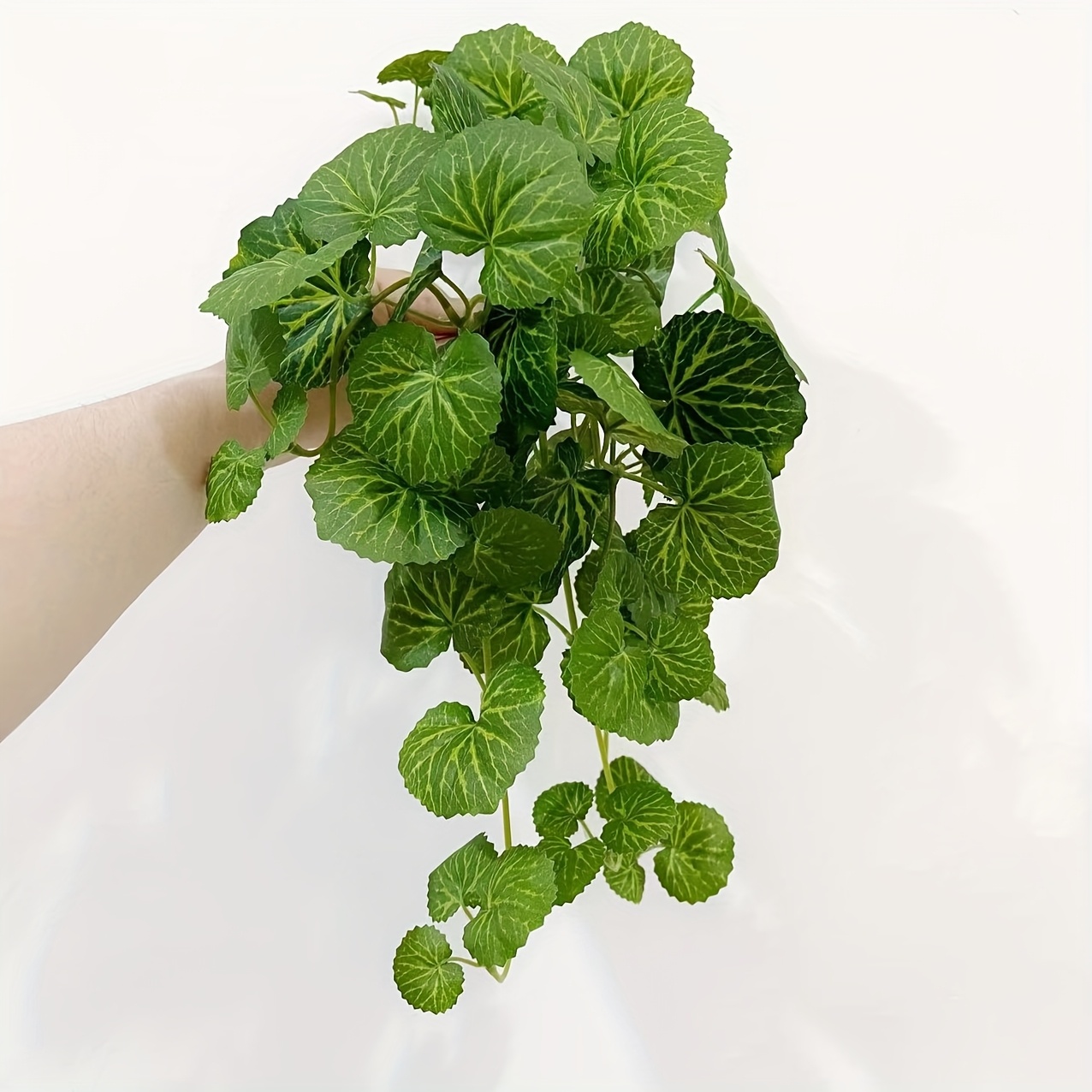 An artificial hanging vine pla - đánh giá và giá Pilea Peperomioides
