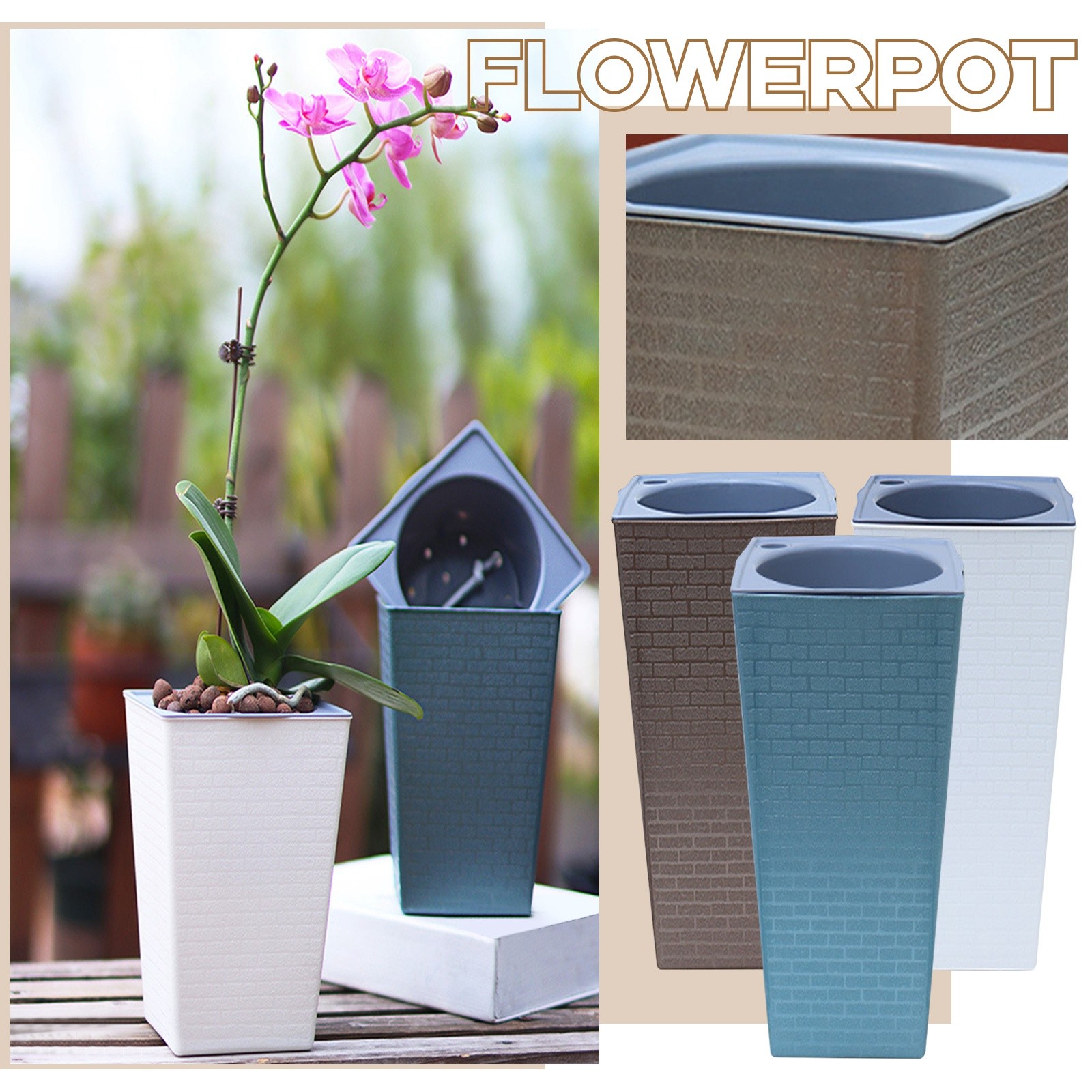 Bonsai-pattern Square Flowerpo - đánh giá và giá Pilea Peperomioides