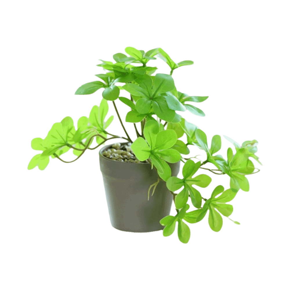 Bonsai Artificial Bonsai Plant - đánh giá và giá Spider Plant Hanging