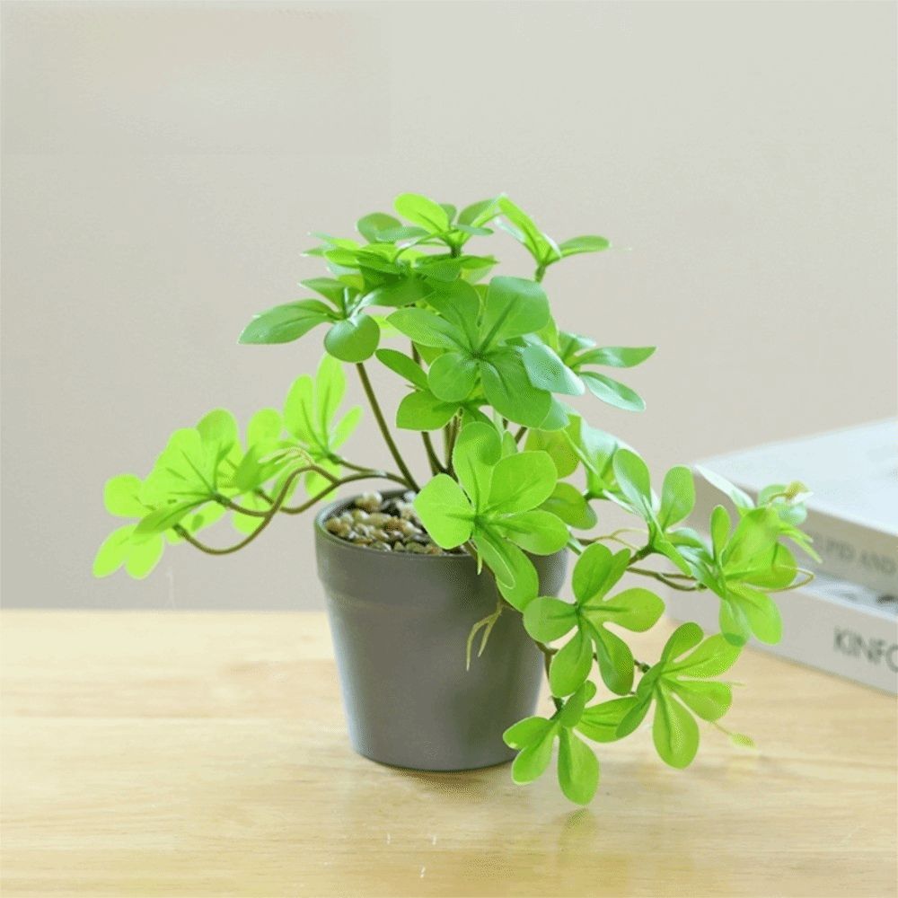 Bonsai Artificial Bonsai Plant - đánh giá và giá Spider Plant Hanging
