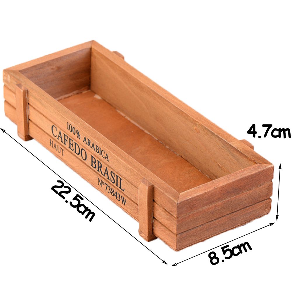 1 PC Tools Garden Decor Trough - đánh giá và giá Pilea Peperomioides