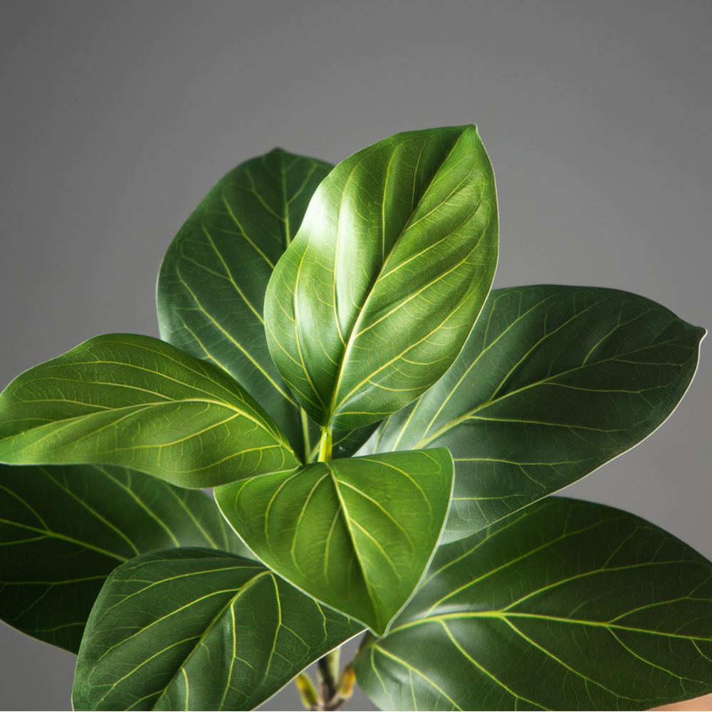 70-130cm Large Artificial Bany - đánh giá và giá Ficus Lyrata Tree