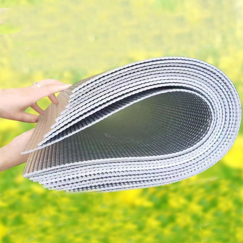 15PCS Beehive Nest Bee Reflect - đánh giá và giá Begonia Rex