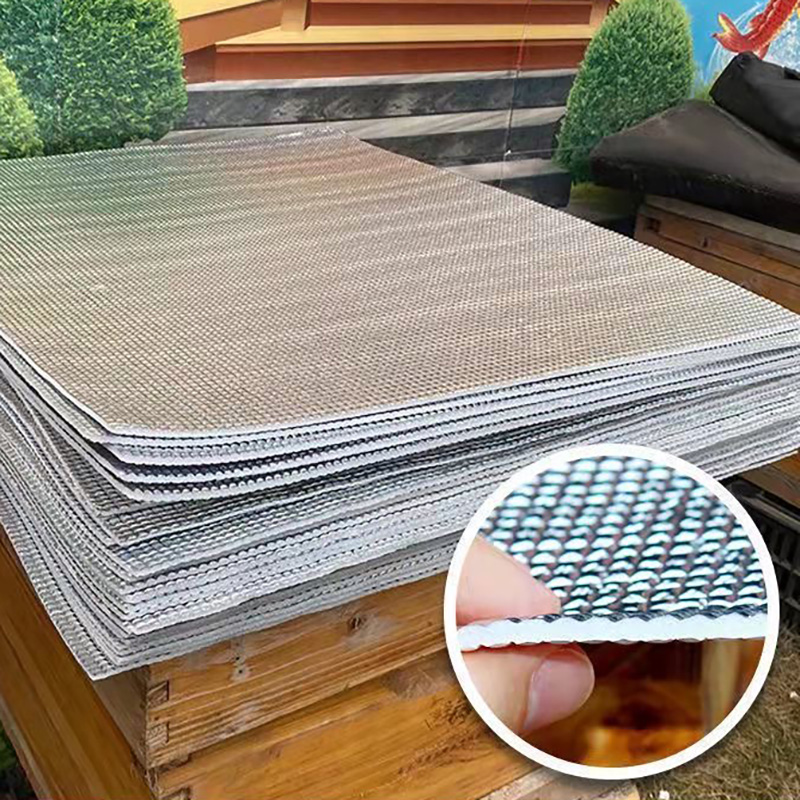 15PCS Beehive Nest Bee Reflect - đánh giá và giá Begonia Rex