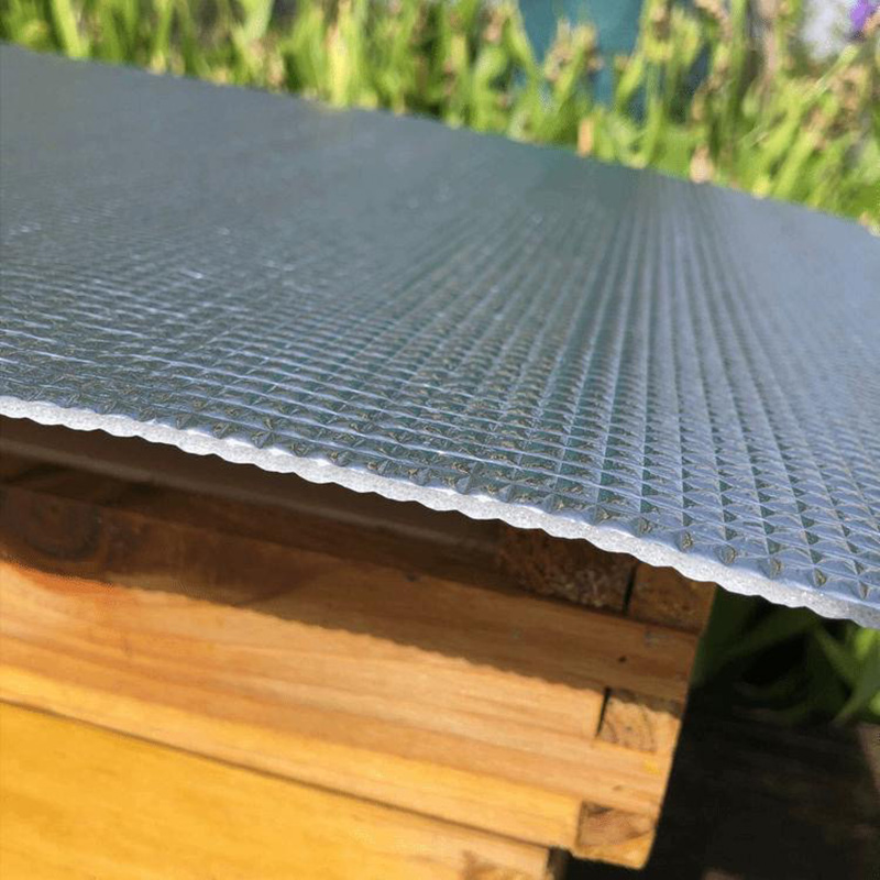 15PCS Beehive Nest Bee Reflect - đánh giá và giá Begonia Rex