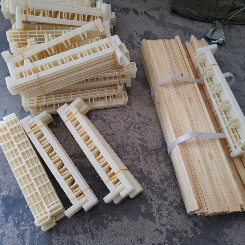 Bee Breeding Frames Plastic Ch - đánh giá và giá Begonia Rex