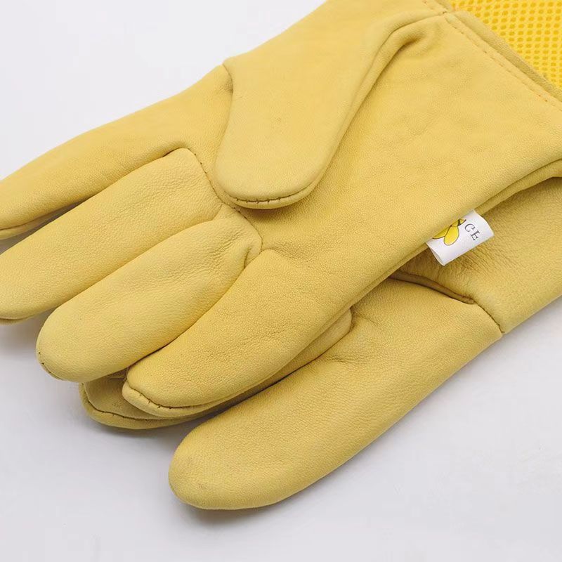 1 Pair Beekeeping Gloves Sting - đánh giá và giá Begonia Rex
