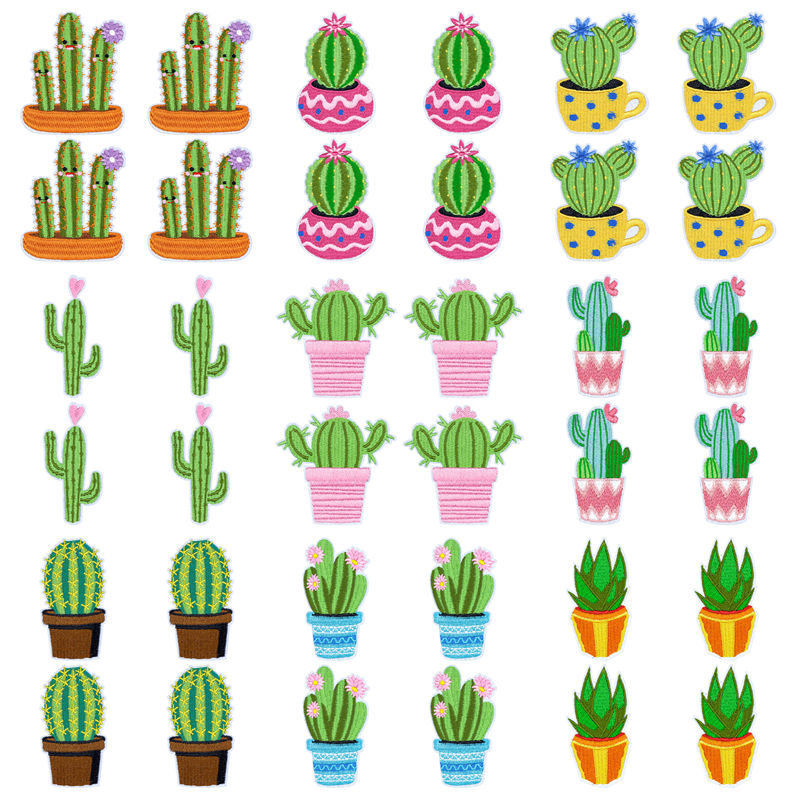 10Pcs/Lot Western Desert Iron  - đánh giá và giá Aloe Vera Pot