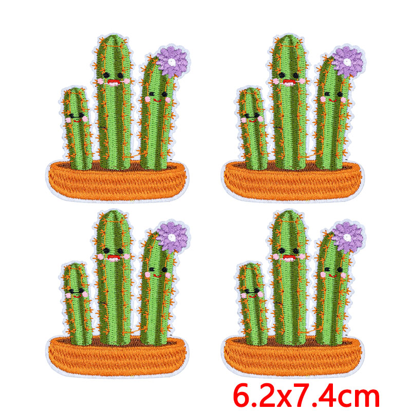 10Pcs/Lot Western Desert Iron  - đánh giá và giá Aloe Vera Pot